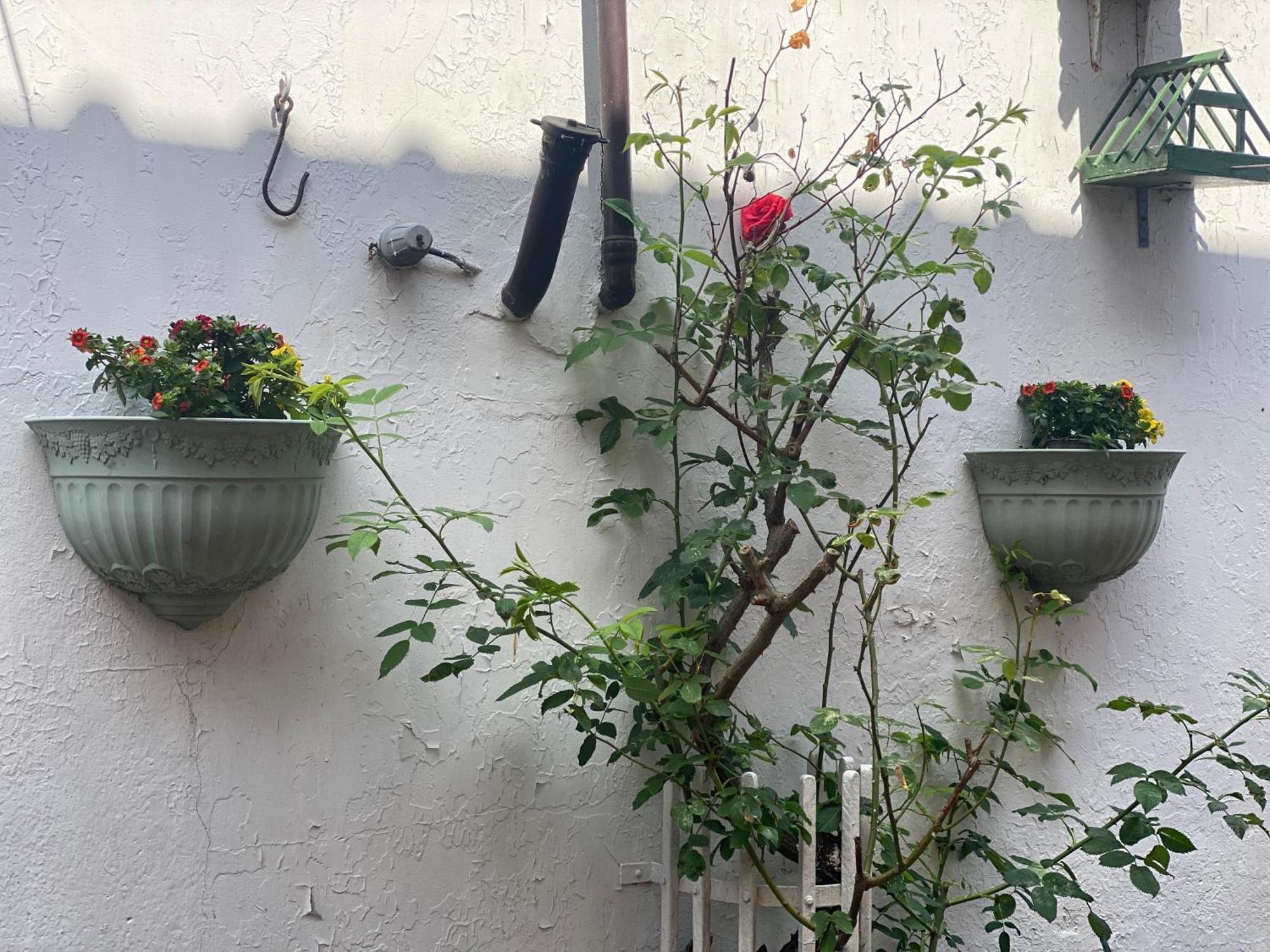 Nordwindoase Apartman Grünendeich Szoba fotó